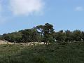 LIGURIAMTB13 (372)